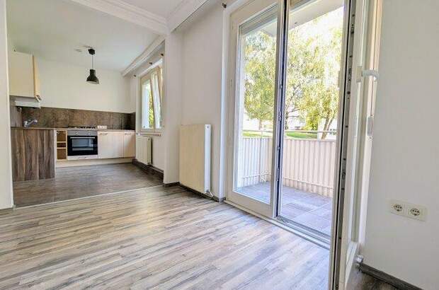 Terrassenwohnung mieten in 1230 Wien (Bild 2)