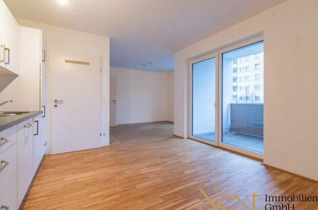 Terrassenwohnung kaufen in 4400 Steyr (Bild 3)