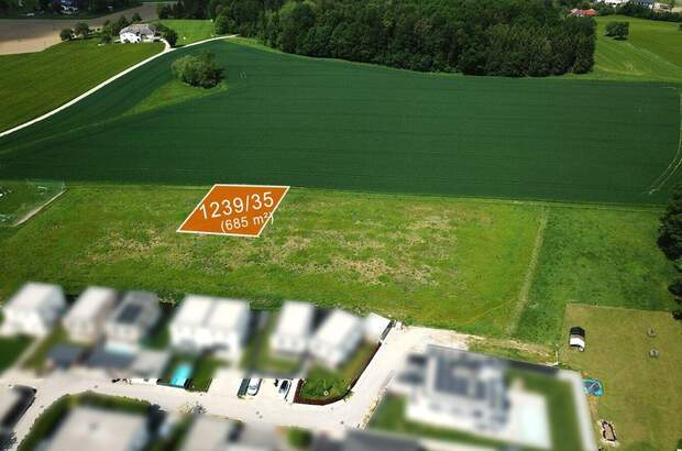 Grundstück kaufen in 4223 Ruhstetten (Bild 3)