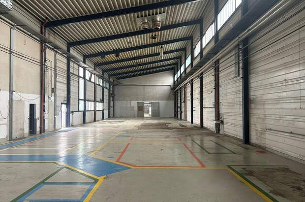 Gewerbeobjekt mieten in 7053 Hornstein (Bild 5)