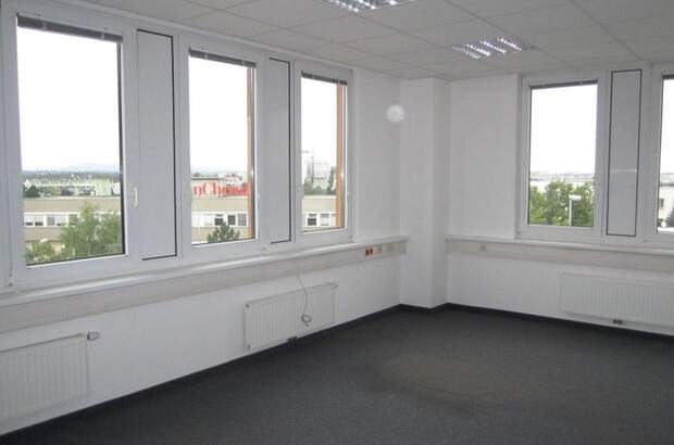 Gewerbeobjekt mieten in 1230 Wien (Bild 4)