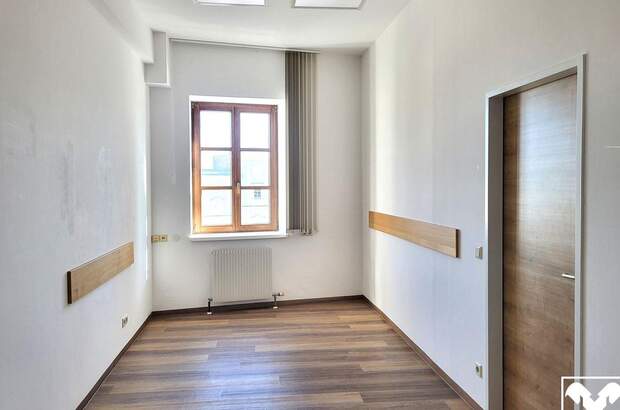 Gewerbeobjekt mieten in 4470 Enns (Bild 3)