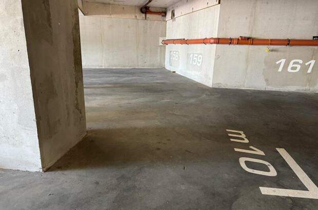 Halle / Lager / Produktion mieten in 2333 Leopoldsdorf (Bild 5)