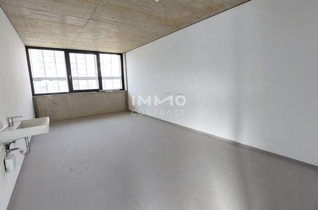 Gewerbeobjekt mieten in 1230 Wien