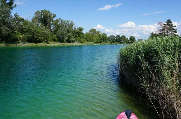 Haus mit Garten kaufen in 1220 Wien (Bild 4)