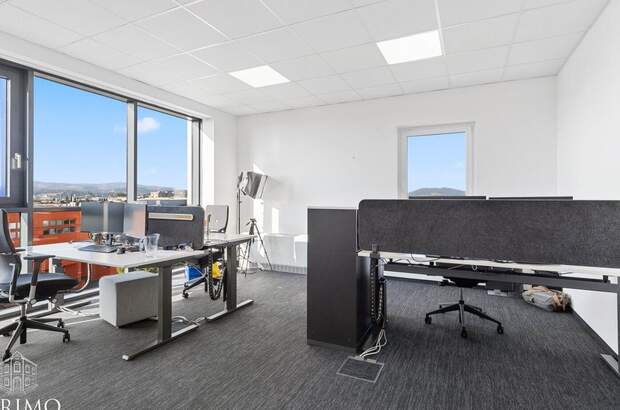 Gewerbeobjekt mieten in 4060 Leonding (Bild 4)