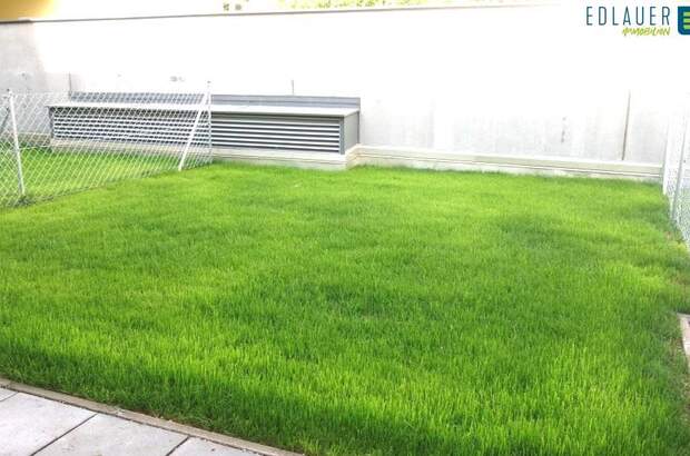 Terrassenwohnung mieten in 2500 Baden (Bild 2)