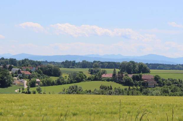Grundstück kaufen in 4491 Niederneukirchen (Bild 3)