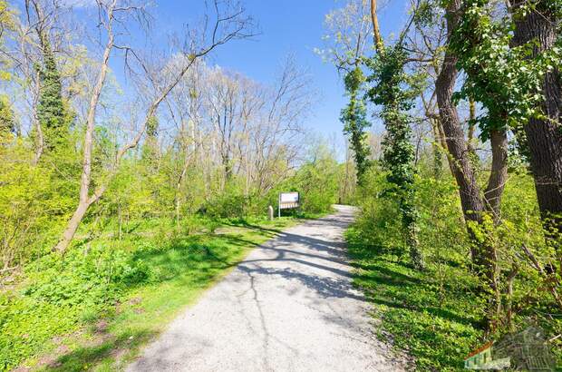 Einfamilienhaus kaufen in 2540 Bad Vöslau (Bild 3)