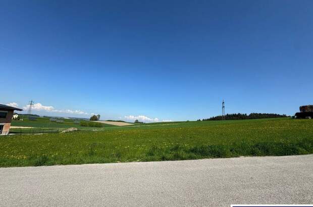 Grundstück kaufen in 4674 Altenhof (Bild 3)