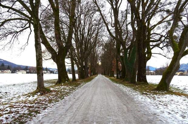 Grundstück kaufen in 5020 Salzburg (Bild 1)