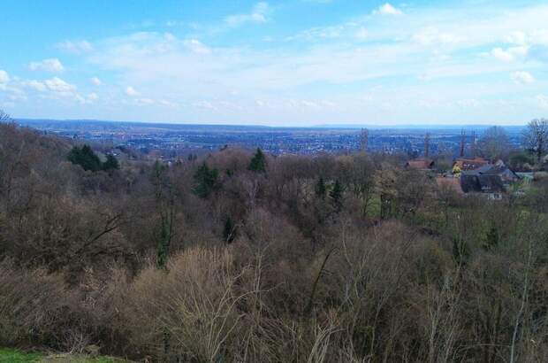 Haus kaufen in 8430 Leibnitz (Bild 3)