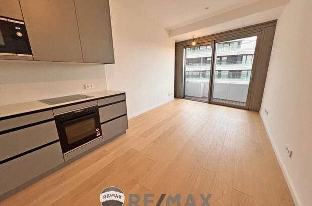 Terrassenwohnung mieten in 1220 Wien (Bild 3)