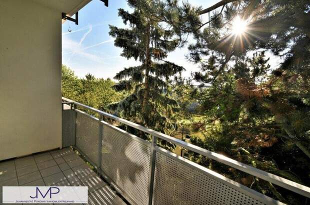 Terrassenwohnung mieten in 1180 Wien (Bild 3)