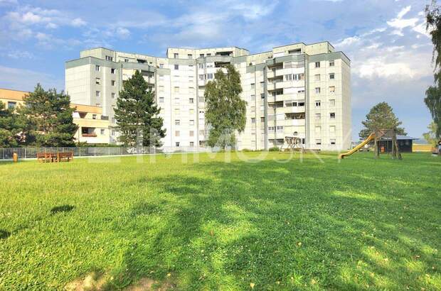 Terrassenwohnung kaufen in 4481 Asten (Bild 2)