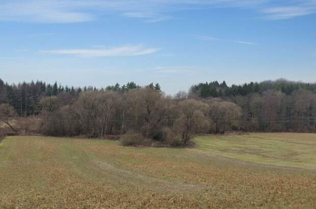 Grundstück kaufen in 7502 Unterwart (Bild 1)