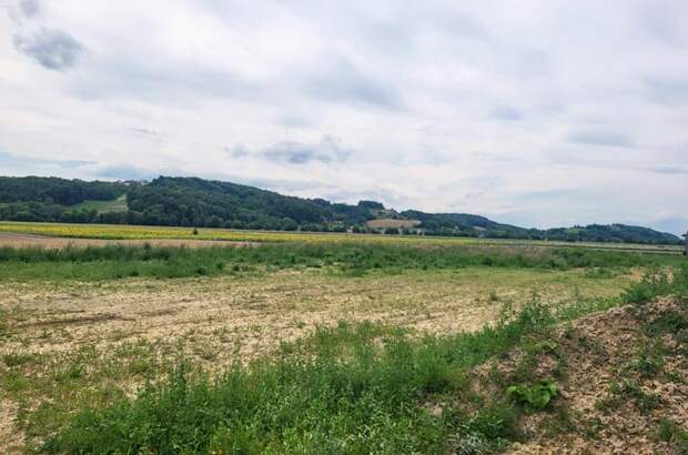 Grundstück kaufen in 8282 Gillersdorf (Bild 4)