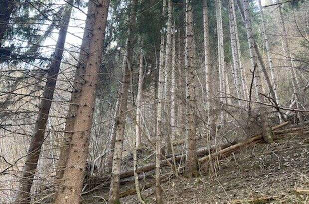 Gewerbeobjekt kaufen in 8850 Murau (Bild 2)