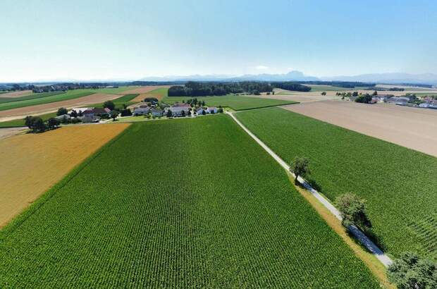 Gewerbeobjekt kaufen in 4654 Bad Wimsbach (Bild 4)