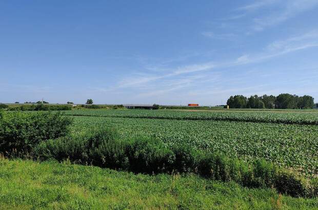 Gewerbeobjekt kaufen in 9231 Beltinci (Bild 1)