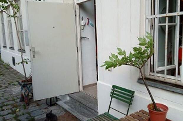 Altbauwohnung mieten in 1020 Wien (Bild 3)