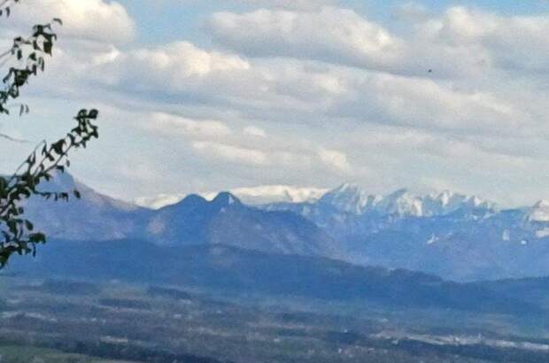 Grundstück kaufen in 4902 Wolfsegg (Bild 2)