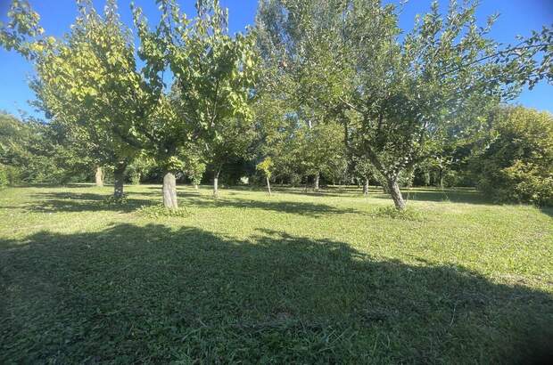 Haus mit Garten kaufen in 33050 Pocenia (Bild 4)