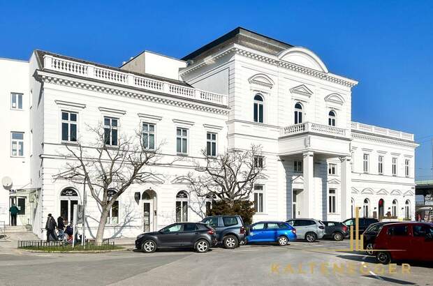 Gewerbeobjekt mieten in 1190 Wien (Bild 1)