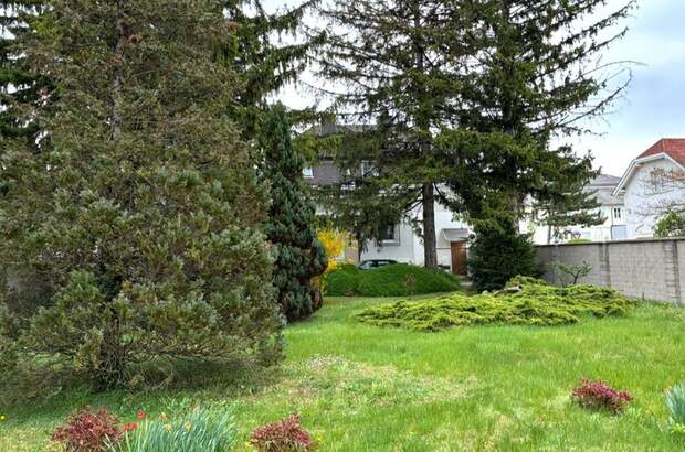 Haus mit Garten kaufen in 2700 Wiener Neustadt (Bild 1)