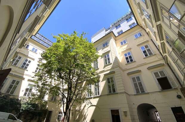 Gewerbeobjekt mieten in 1010 Wien (Bild 1)