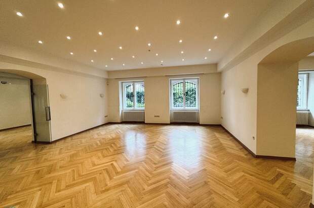 Gewerbeobjekt mieten in 1130 Wien (Bild 3)