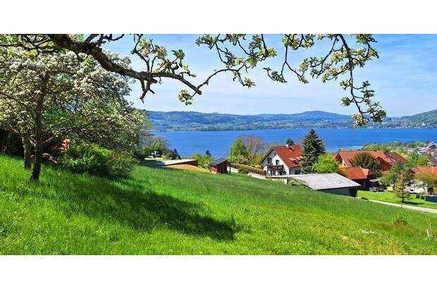 Grundstück kaufen in 4852 Weyregg (Bild 1)