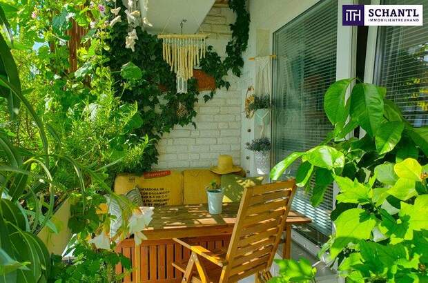 Terrassenwohnung kaufen in 1230 Wien (Bild 1)