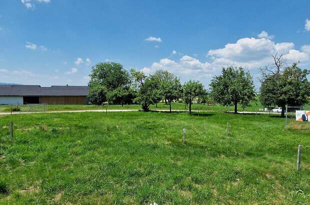Haus mit Garten kaufen in 4656 Eisengattern (Bild 4)