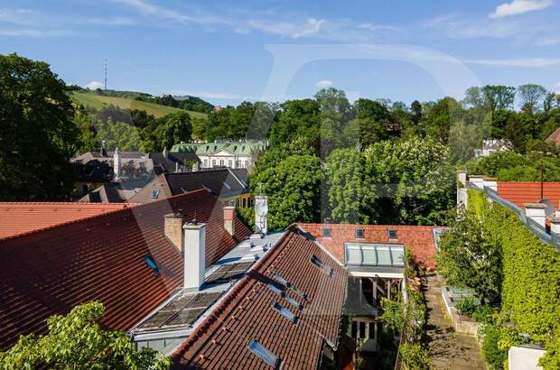 Haus mit Garten kaufen in 1190 Wien (Bild 2)