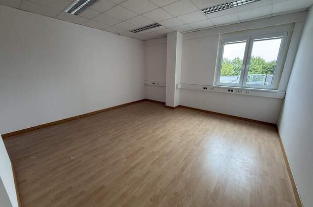 Büro / Praxis mieten in 2544 Leobersdorf (Bild 2)