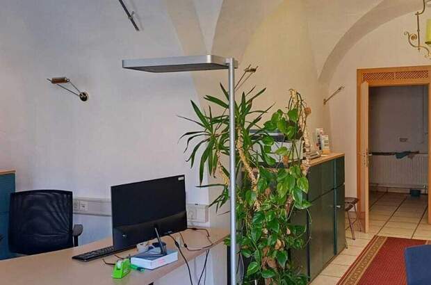 Gewerbeobjekt kaufen in 8650 Kindberg (Bild 1)