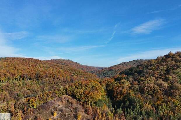 Grundstück kaufen in 2534 Alland (Bild 3)