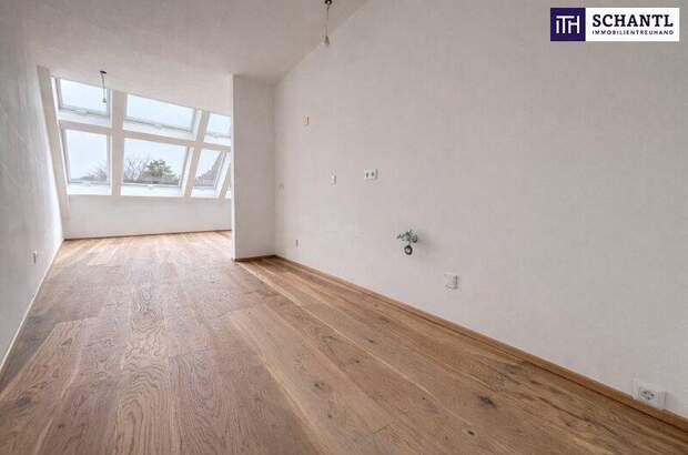 Terrassenwohnung kaufen in 2514 Traiskirchen (Bild 3)