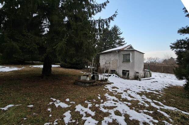 Gewerbeobjekt kaufen in 4060 Leonding (Bild 2)