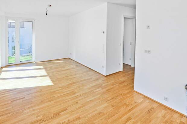 Anlageobjekt kaufen in 3500 Krems (Bild 2)