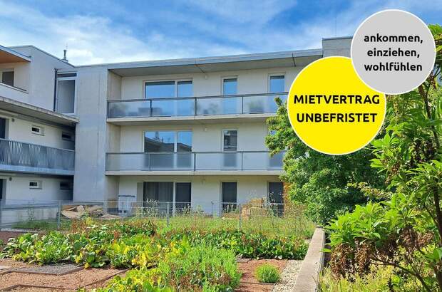 Wohnung mit Balkon mieten in 3500 Krems (Bild 2)