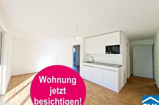 Terrassenwohnung mieten in 1220 Wien (Bild 2)