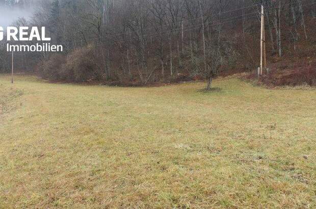 Grundstück kaufen in 8114 Großstübing (Bild 3)