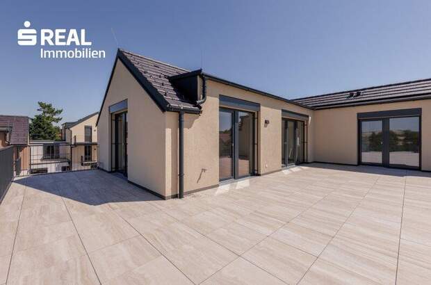 Terrassenwohnung mieten in 2020 Hollabrunn (Bild 3)