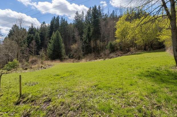 Grundstück kaufen in 8132 Pernegg (Bild 4)