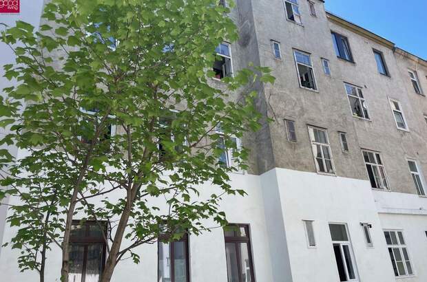 Anlageobjekt kaufen in 1100 Wien (Bild 3)