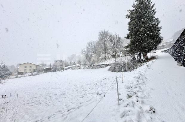 Grundstück kaufen in 6833 Klaus (Bild 3)