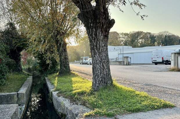 Grundstück kaufen in 2486 Pottendorf (Bild 5)