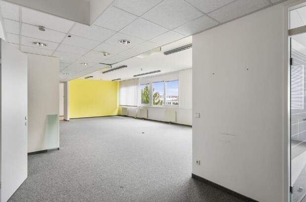 Gewerbeobjekt mieten in 1110 Wien (Bild 5)